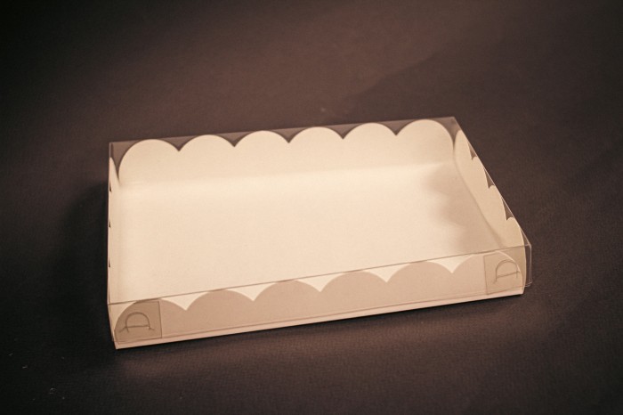 Коробка с PVC крышкой 22 × 15 × 3 см, Белая